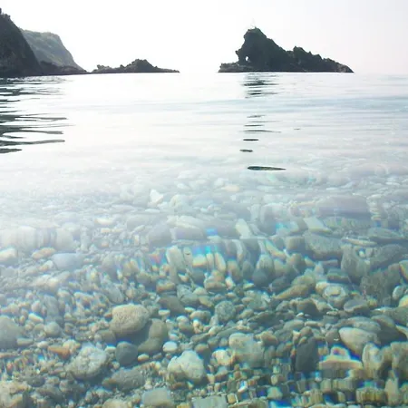 Appartamento City 公寓 帕尔米