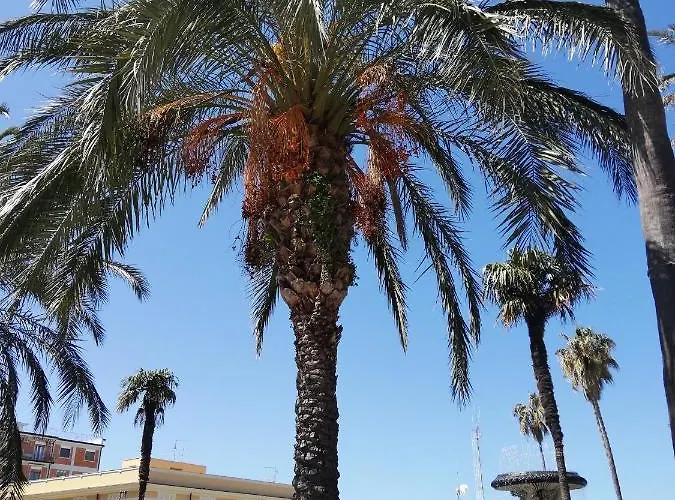 Appartamento City Apartamento